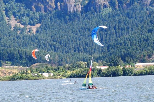 Cat mixing it up with kites