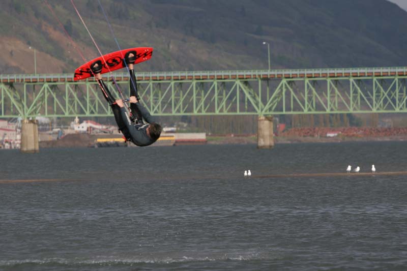 The "FLY" out buzzing the "BAR"!  His Seagull fanclub followed him out from Seaside!!!